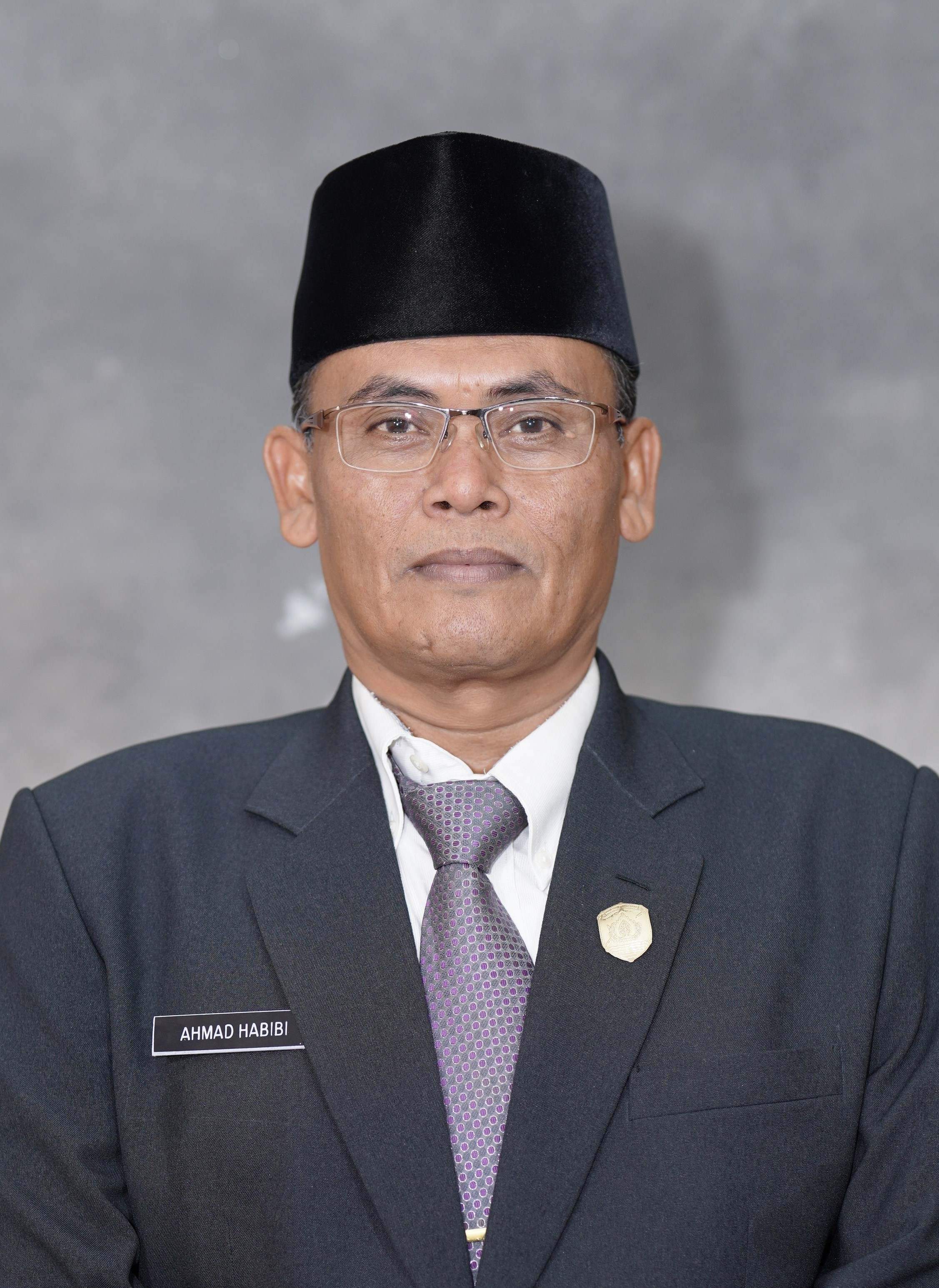 AHMAD HABIBI, S.Ag
